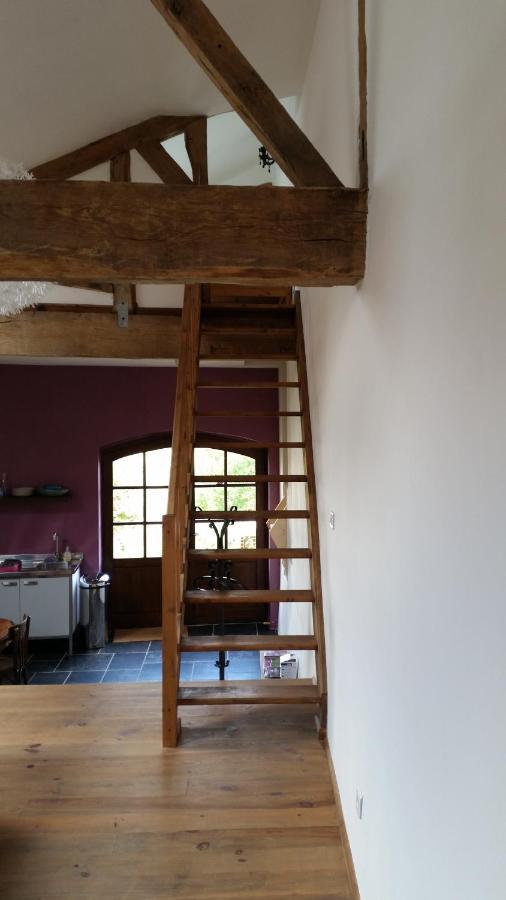 Ferienwohnung Le Peyroutet Cazaux-Villecomtal Exterior foto